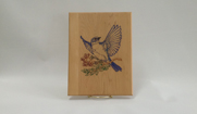 Color Plaques