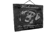 Custom Signs